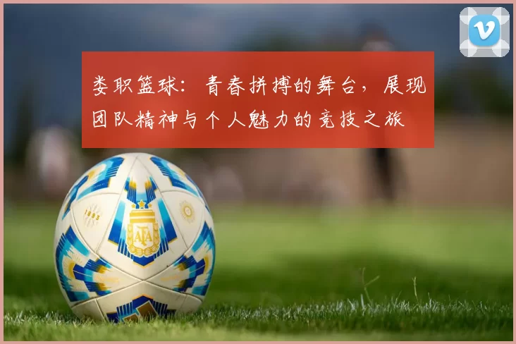 娄职篮球：青春拼搏的舞台，展现团队精神与个人魅力的竞技之旅