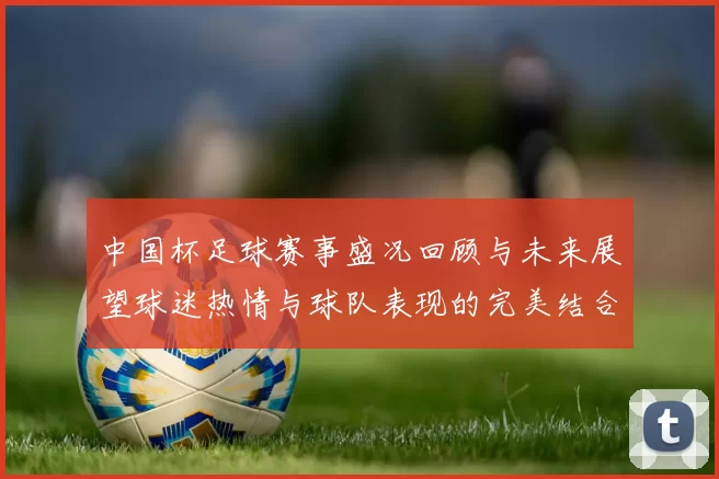 中国杯足球赛事盛况回顾与未来展望球迷热情与球队表现的完美结合