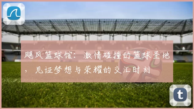 飓风篮球馆：激情碰撞的篮球圣地，见证梦想与荣耀的交汇时刻